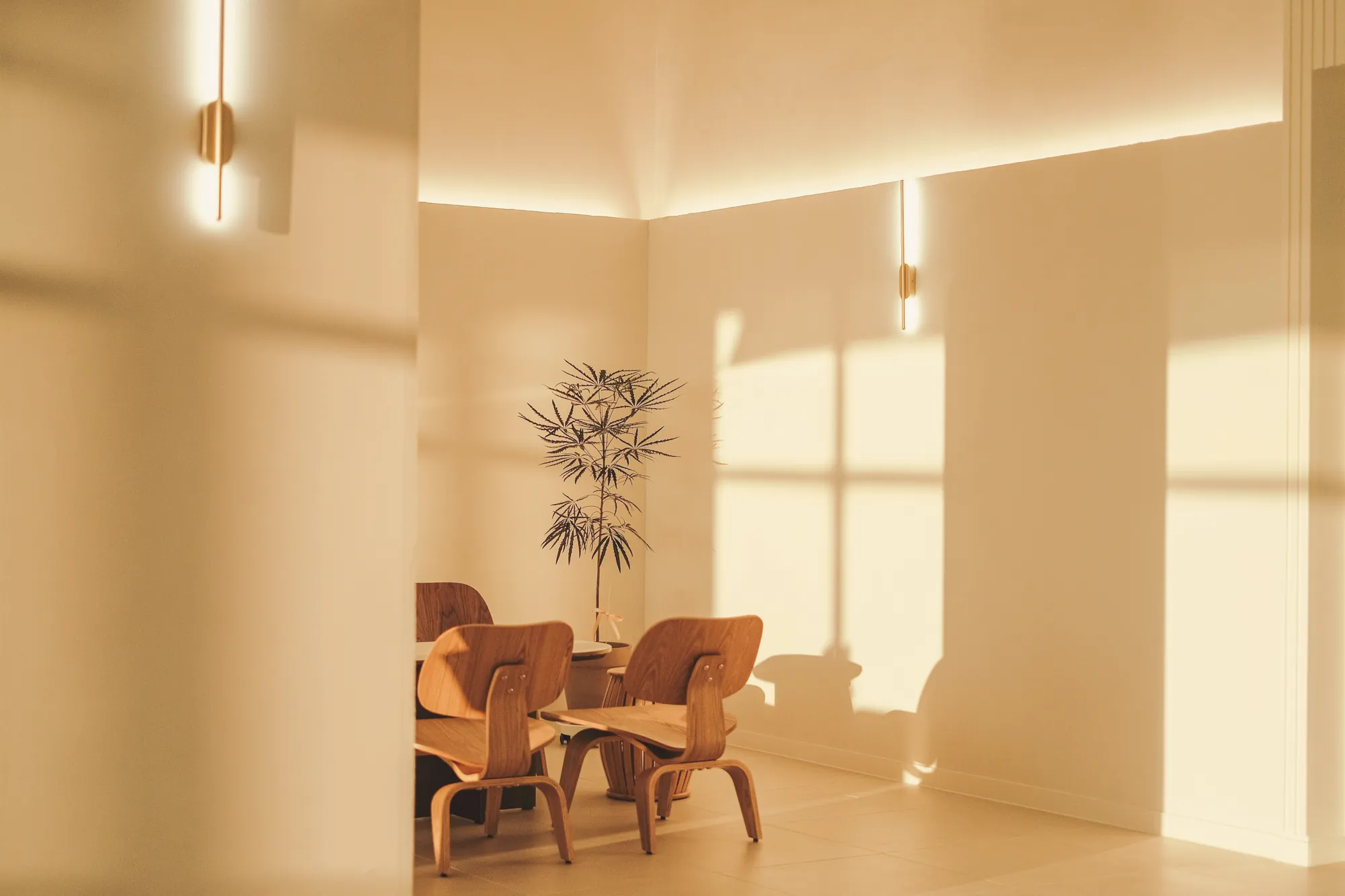 Detalhe do ambiente
